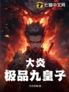 大炎极品九皇子