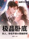 极品卧底:夫人,你也不想大哥被抓吧?