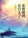从赘婿到东宫太子